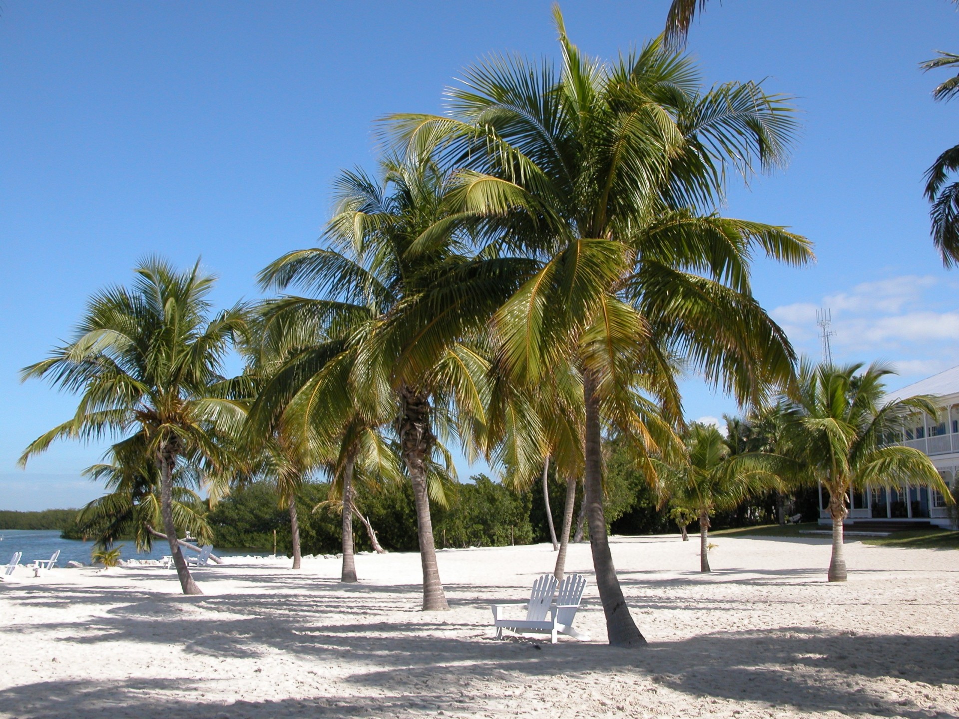 Key Largo and Isla Morada Private Tour