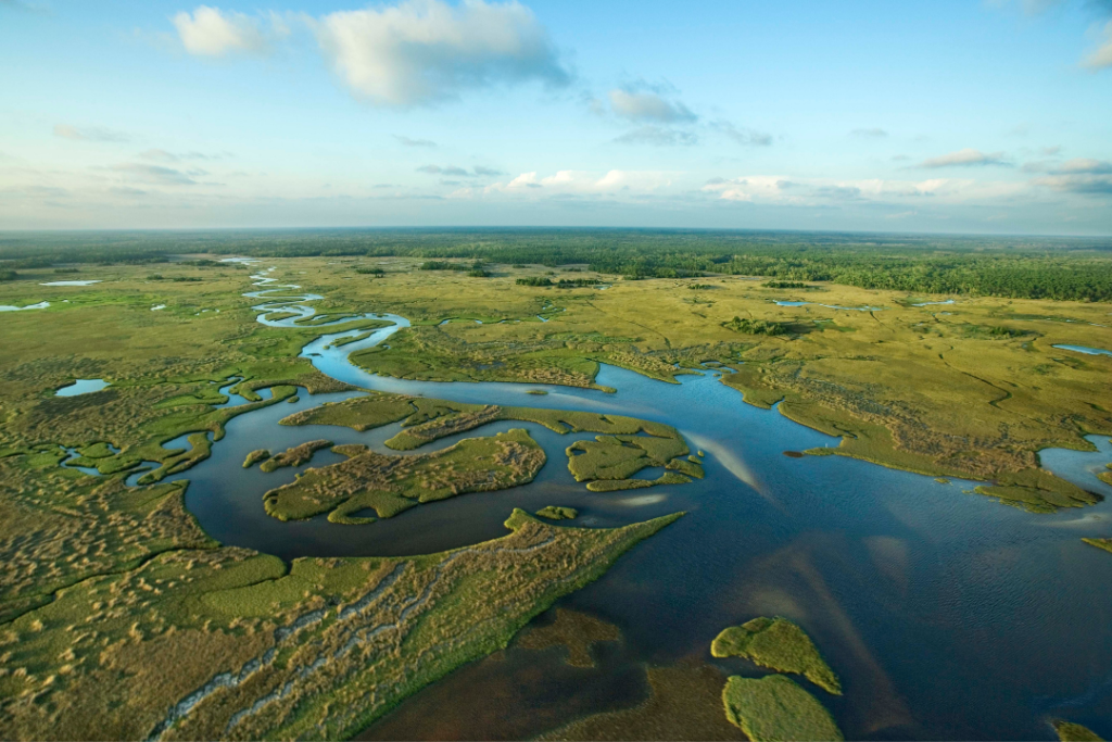 Tour Privado de los Everglades
