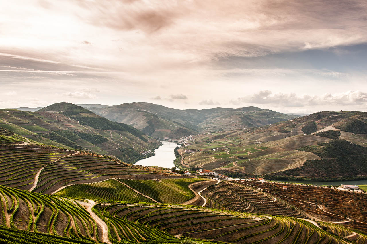 Excursión al Valle del Douro