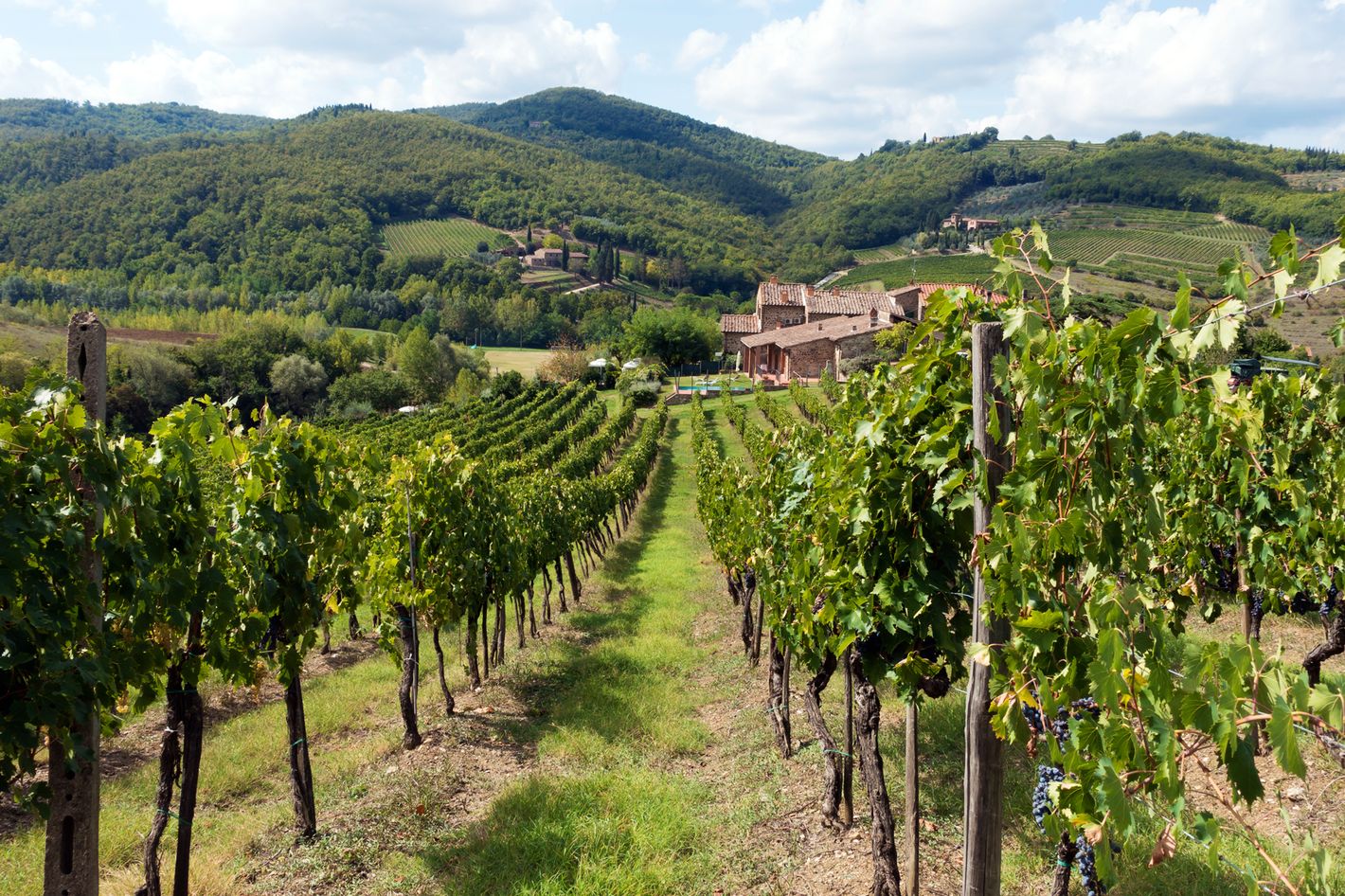 Private Tour to Chianti Wine Area from Florence