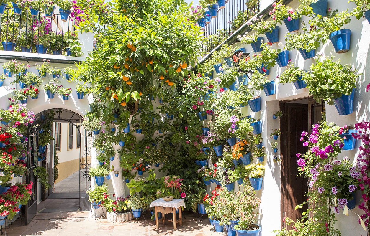 Cordoba: traditional Andalusian houses whose interior courtyards are festooned with potted flowers and plants