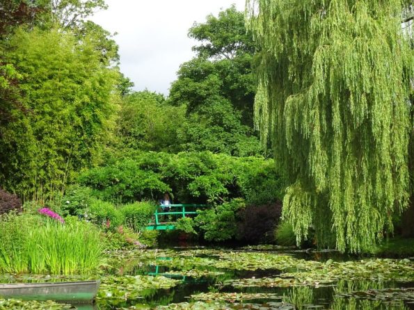 Monet garden 2