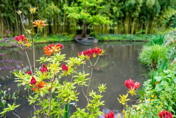 Monet garden 3