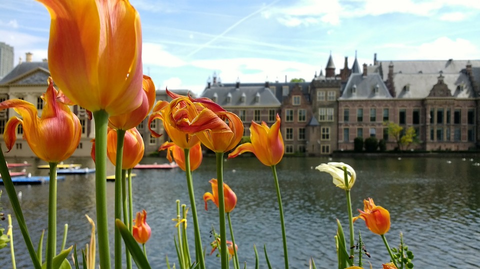 Tour Privado a La Haya desde Leiden