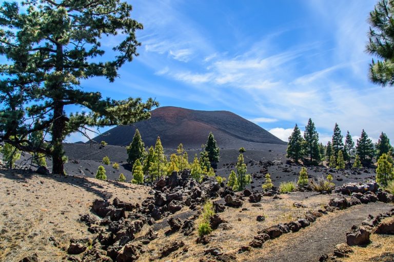 Shore Excursion: Private Volcano Tour in Tenerife