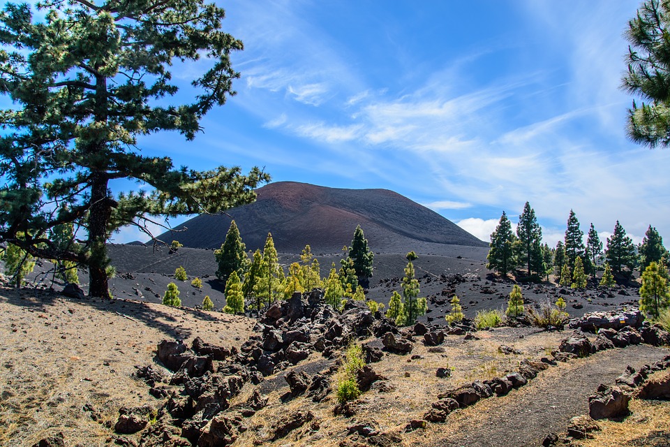 Excursion à terre: visite privée du volcan à Tenerife