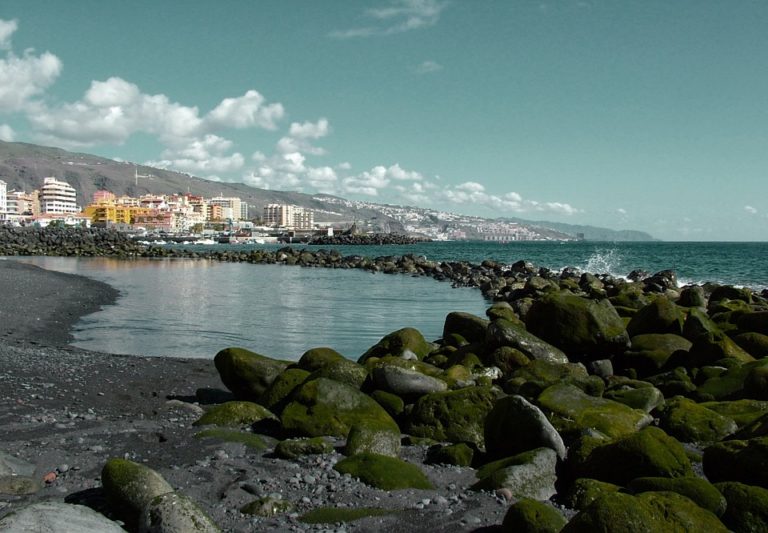 Shore Excursion: Private Santa Cruz de Tenerife Tour