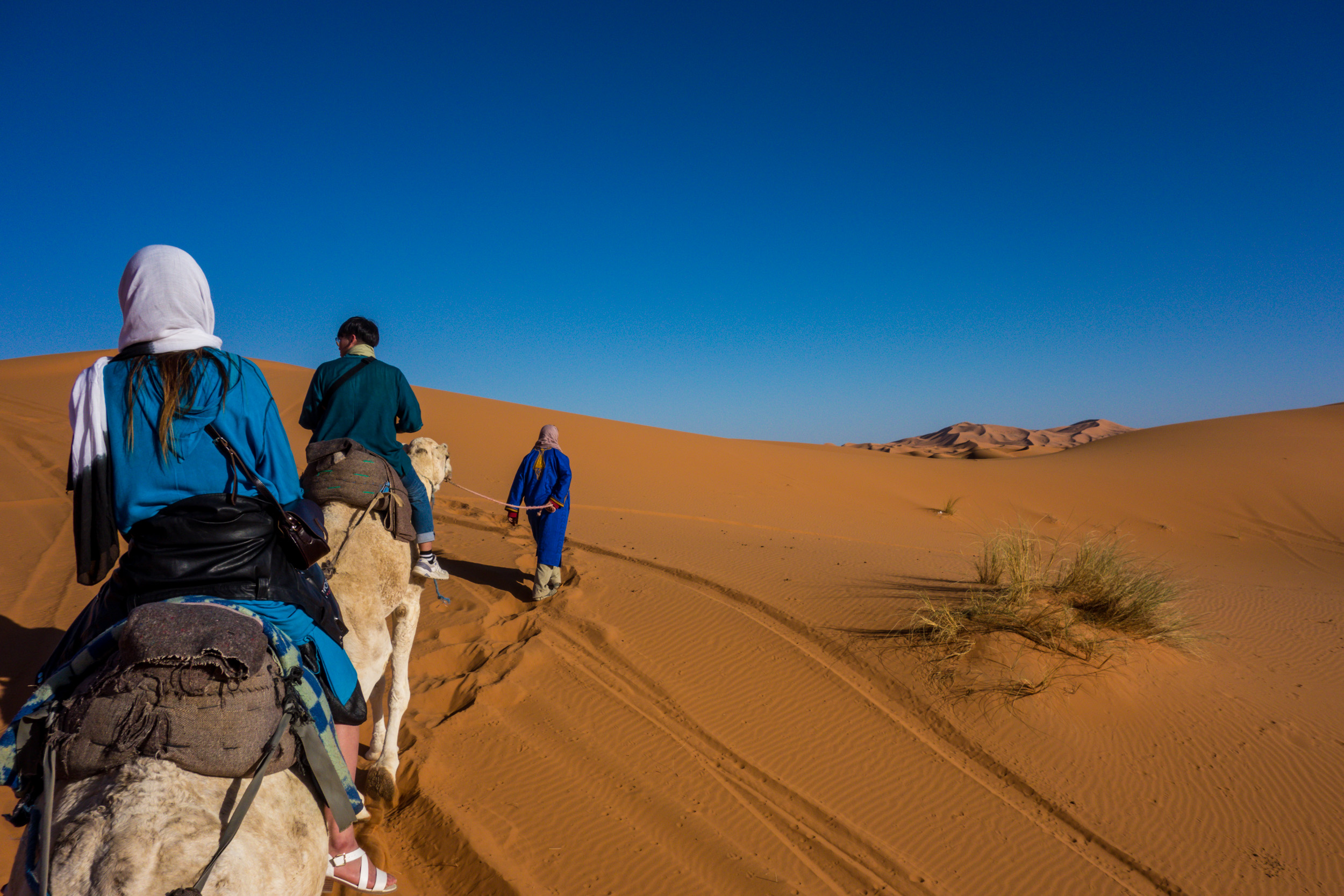 family morocco tour tours desierto marruecos