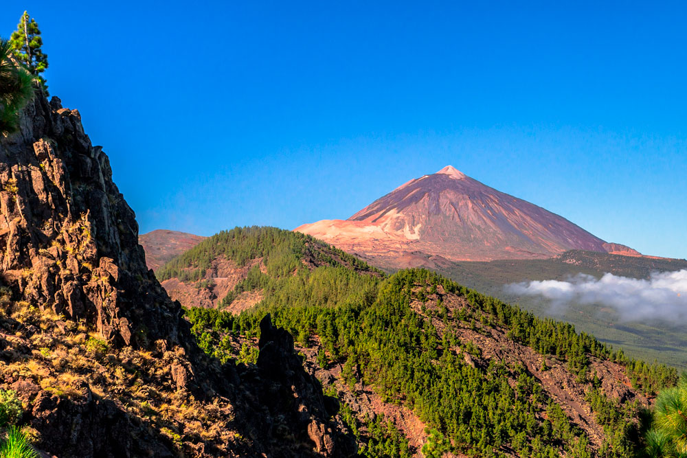 Tour privado La Laguna y Parque Nacional el Teide