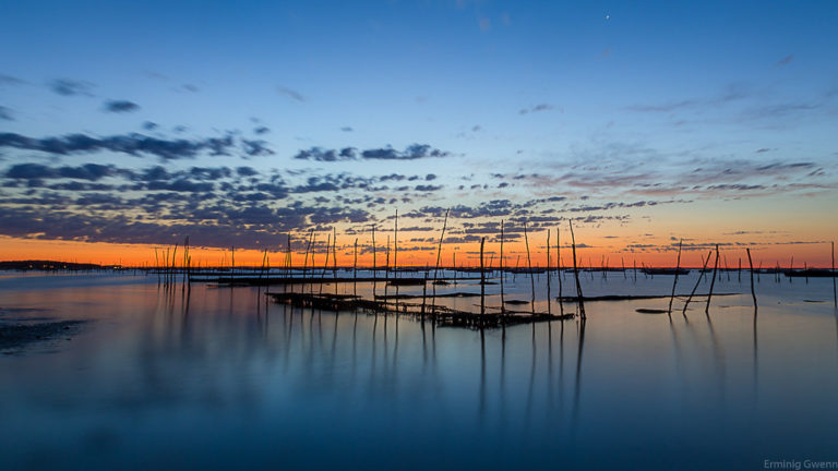 Tour privado de 8 horas por la bahía de Arcachon desde Burdeos