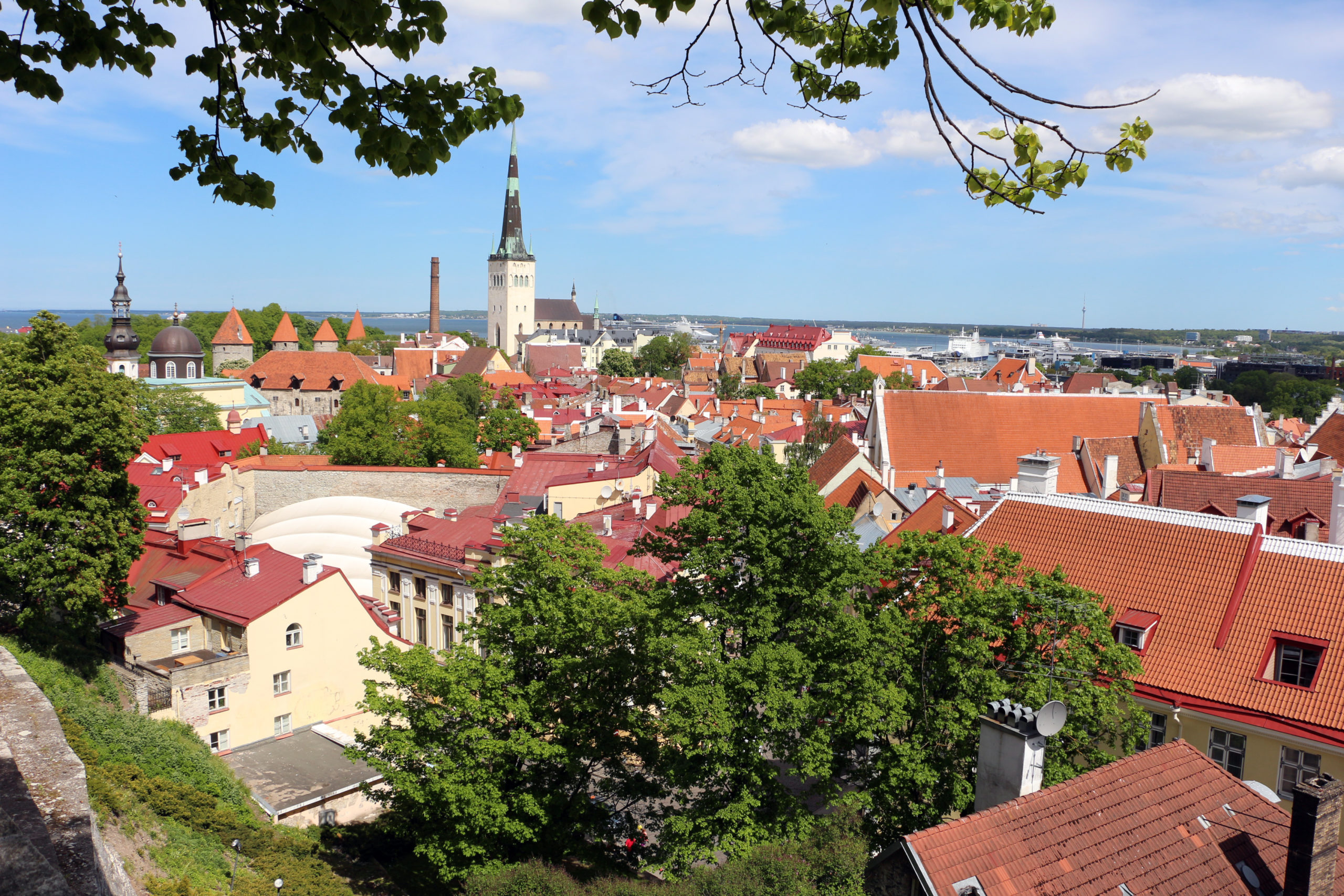 Visite privée de Tallinn au départ d'Helsinki