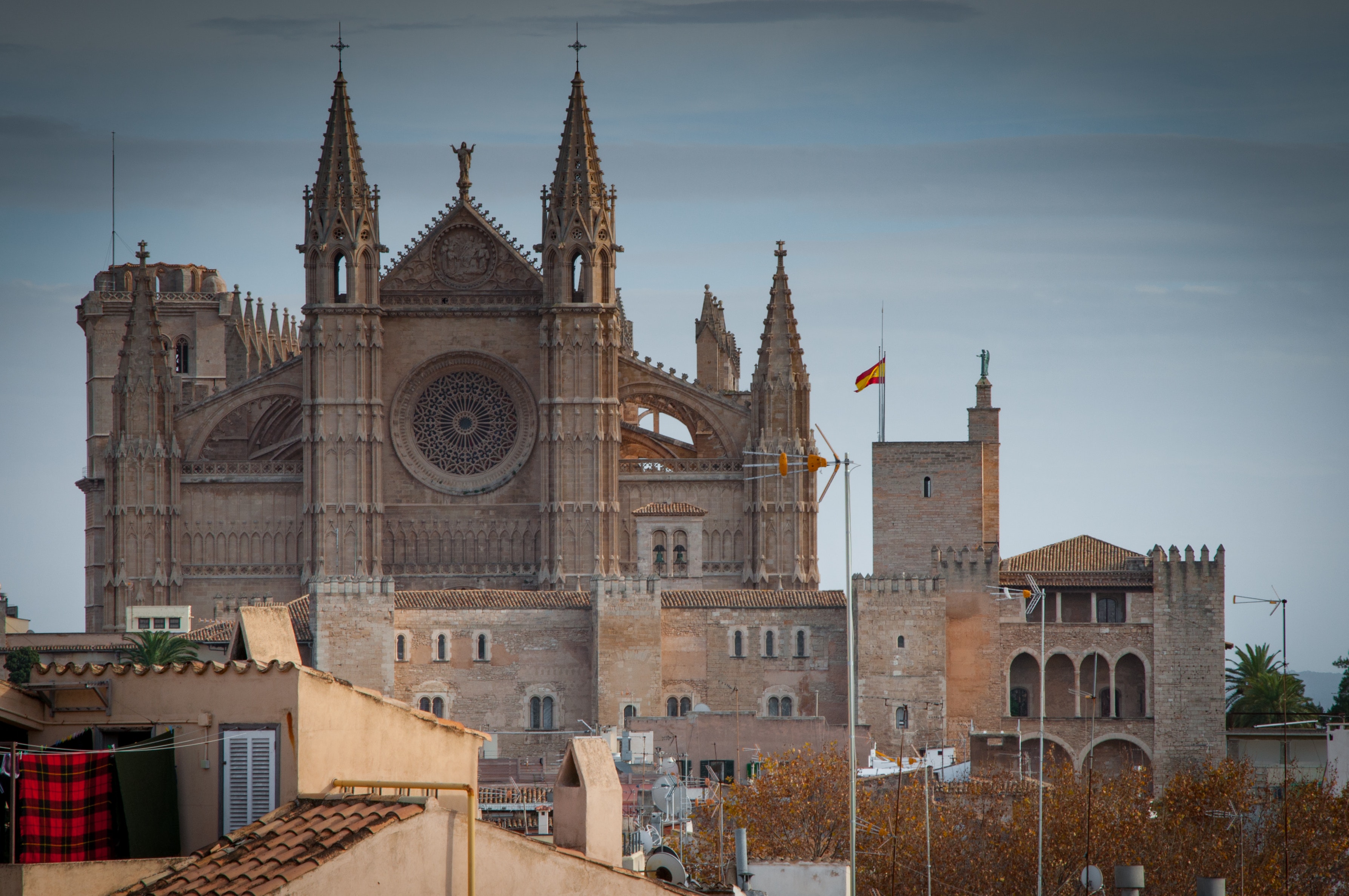 Tour privado a pie de Palma de Mallorca con la Catedral