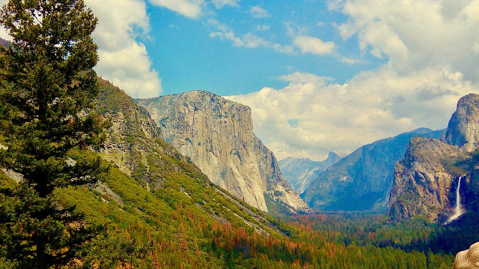 Private day trip to Yosemite National Park