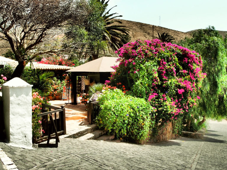Excursión privada a La Oliva, Betancuria y Corralejo