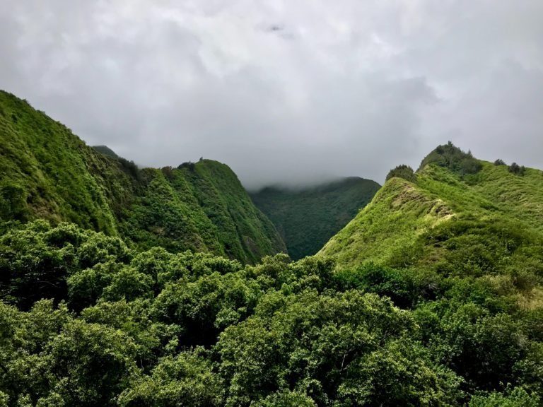 Tour privado de Haleakala y Iao Valley