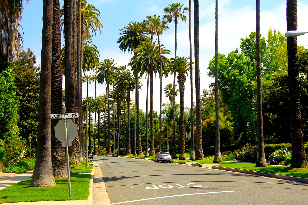 la city tour from anaheim