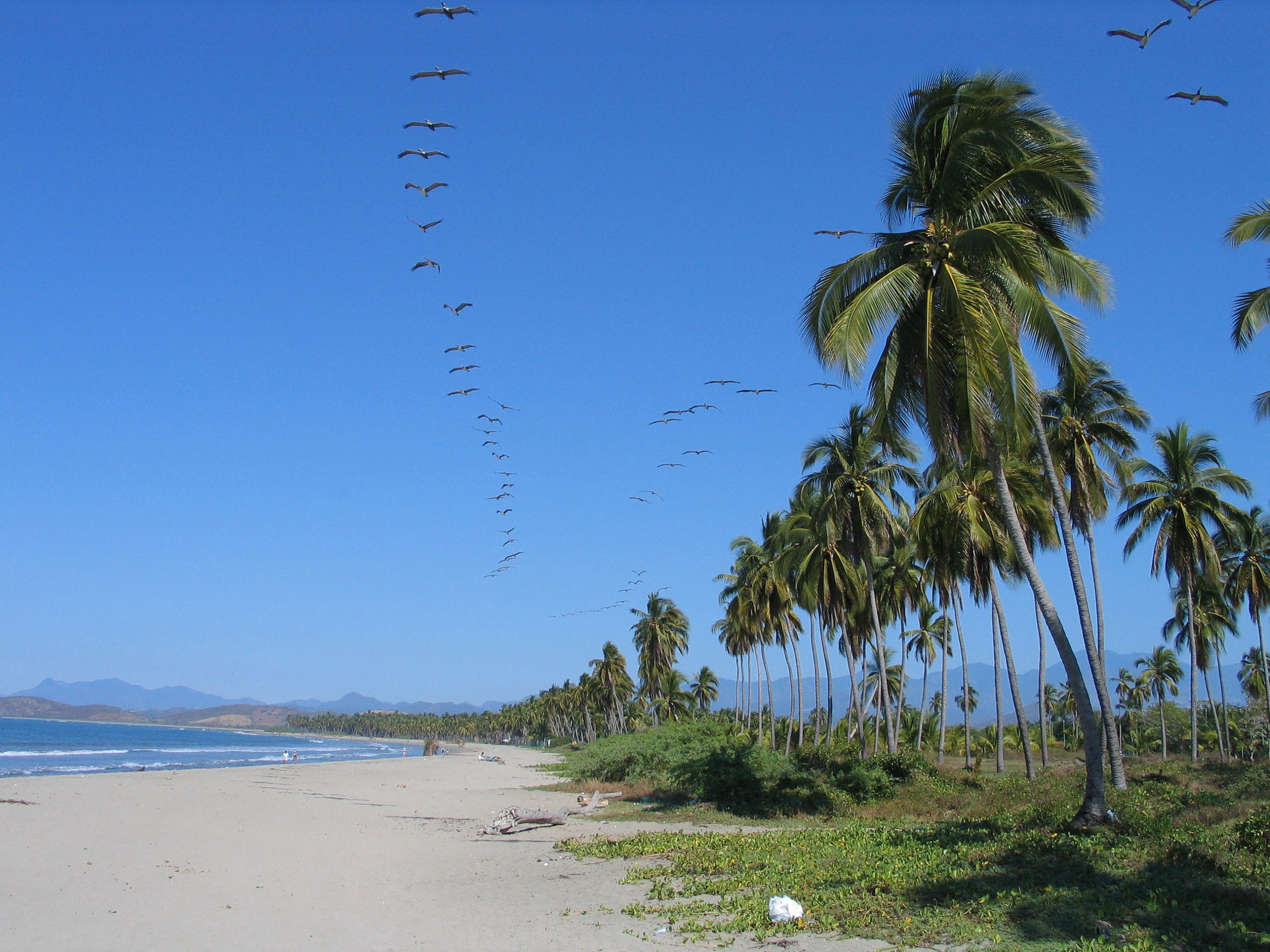 Private Tour to Ixtapa Island