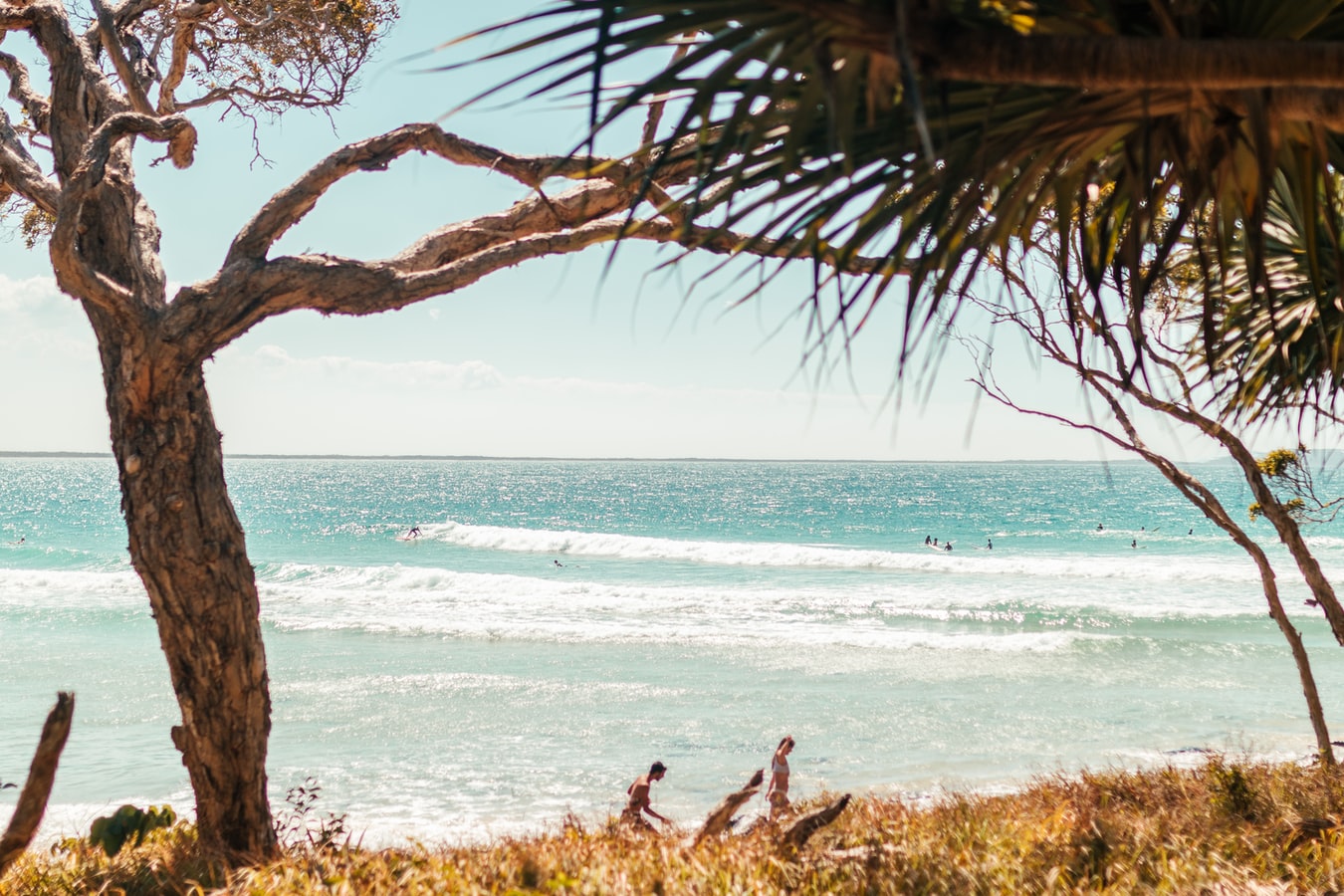 Private Tour to Noosa and Sunshine Coast from Brisbane