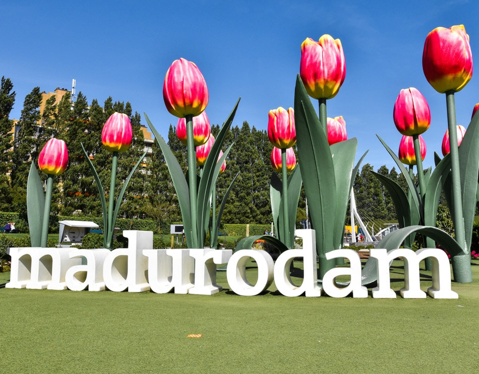 Private tour of The Hague, Delft and Madurodam from Amsterdam