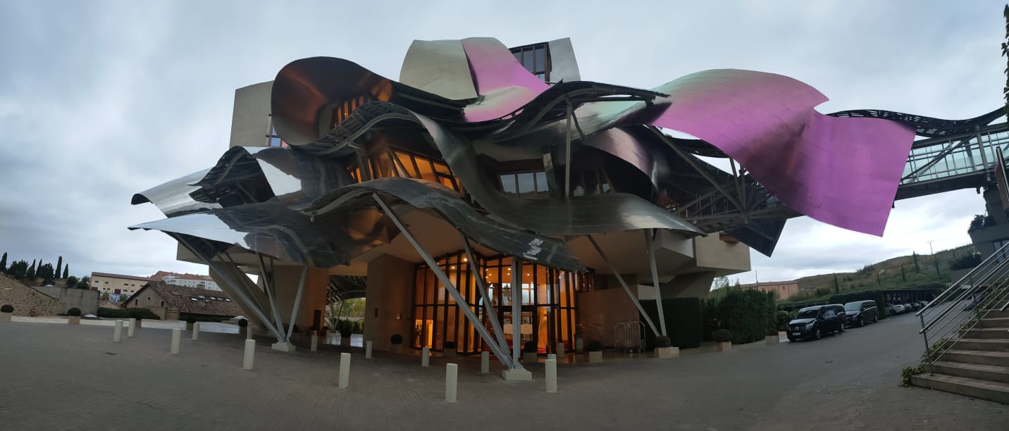 Full-day visit to the wineries of La Rioja from Madrid