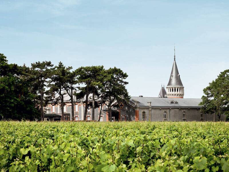 Private Tour To The Best Champagne Wineries from Paris