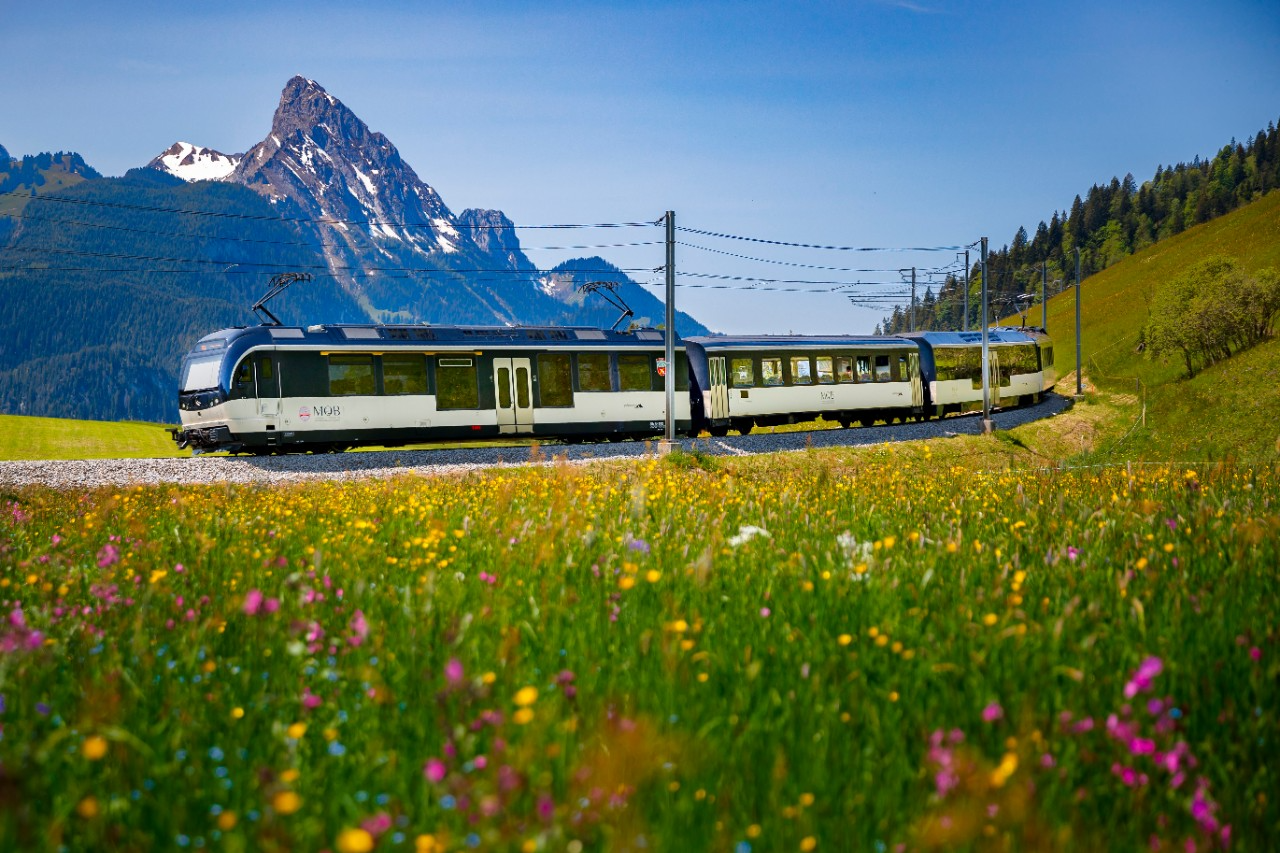 Golden pass. Поезд золотой перевал Швейцария. Golden Pass Швейцария. Поезд Голден пасс Швейцария. Монтре Golden Pass.