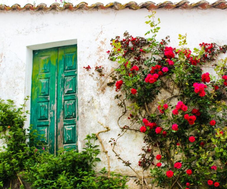 Excursión Privada a Óbidos, Fátima y Nazaré
