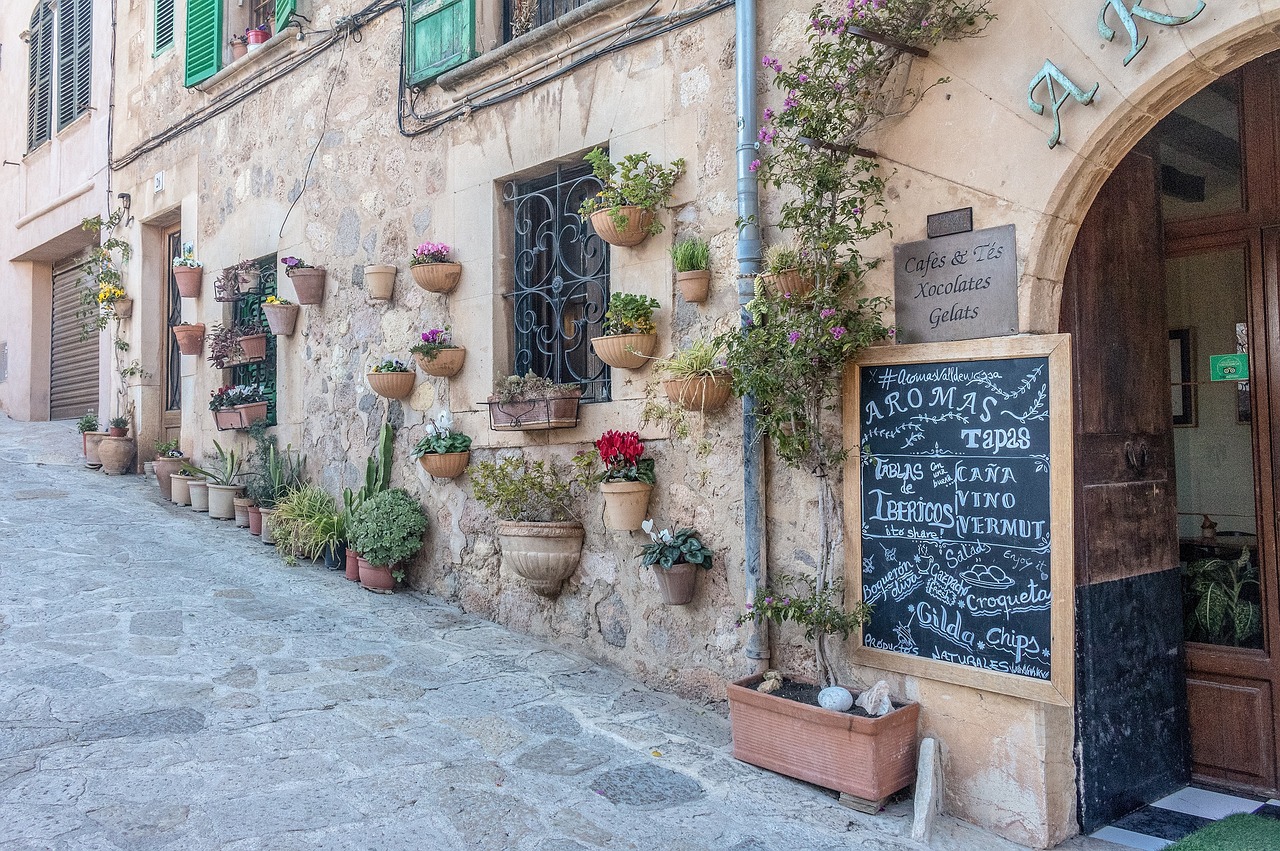 Visite privée de Sóller et Valldemossa