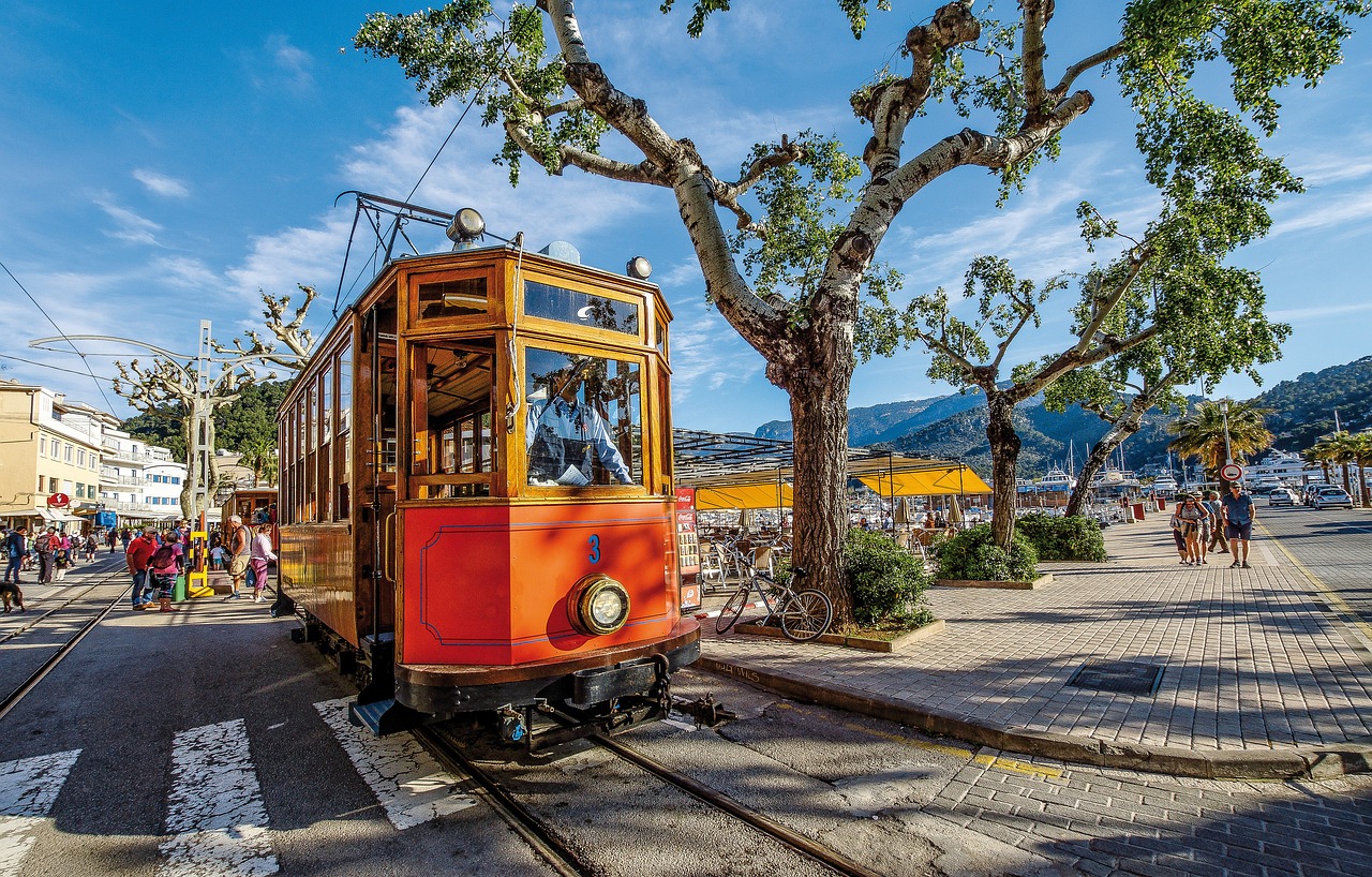 Tour Privado a Pie de Sóller