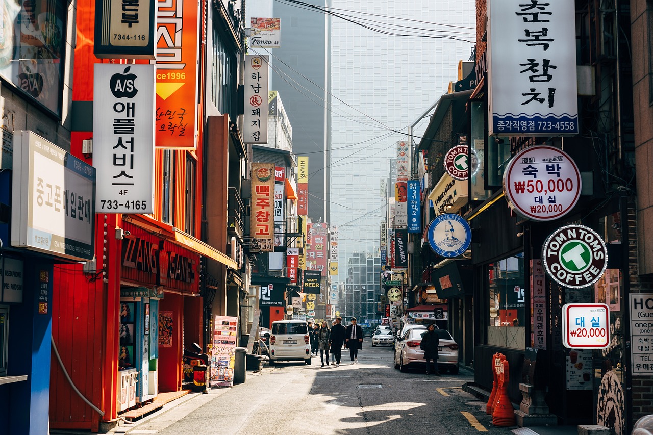 Private Walking Tour of Seoul