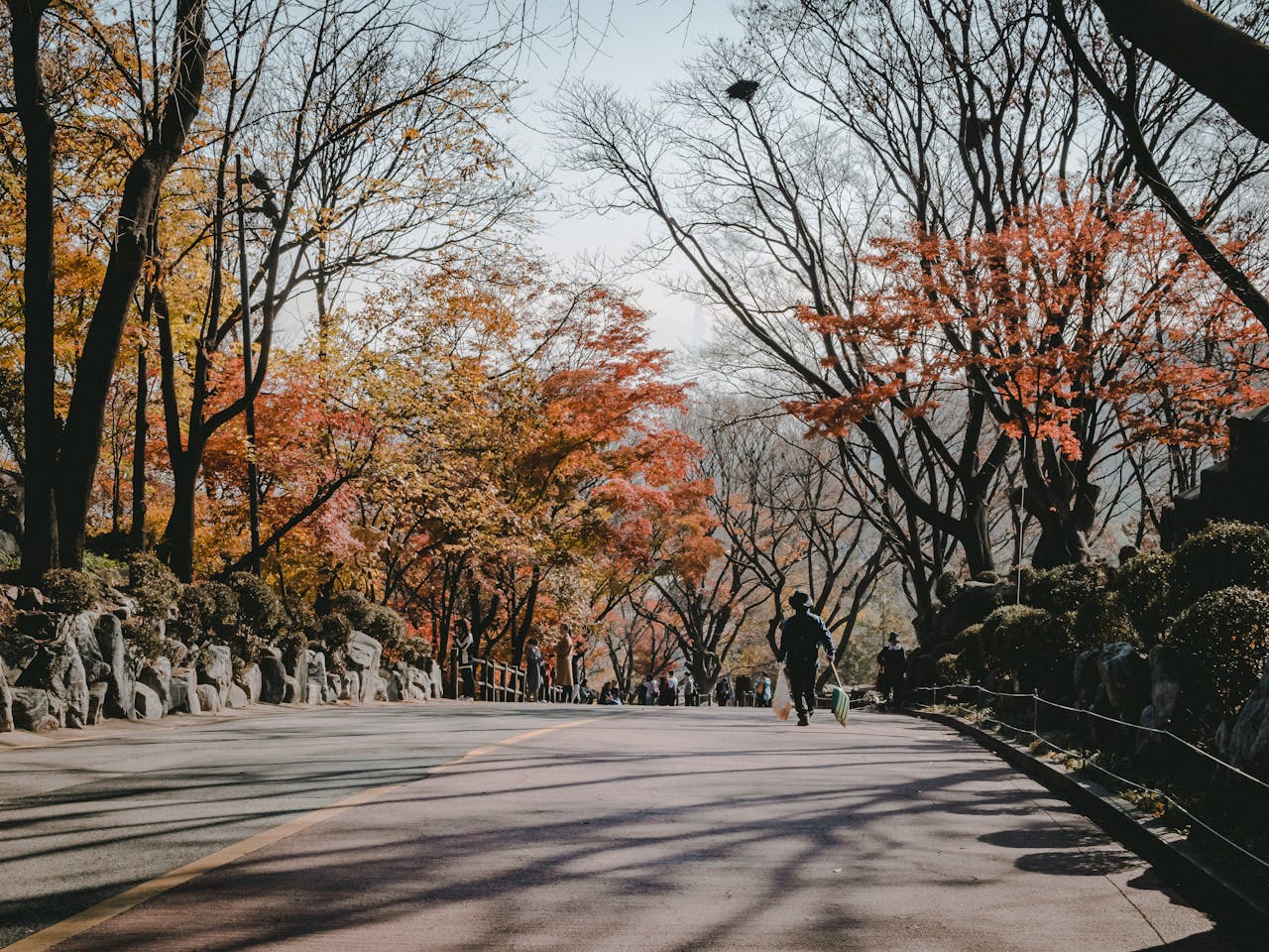 Private Day Trip to Nami Island & Garden of Morning Calm