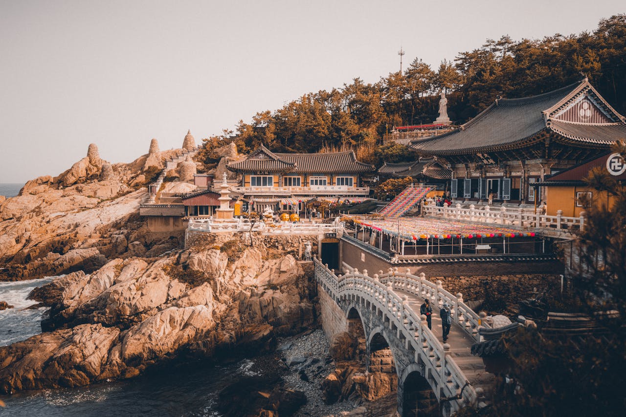 Private Half-Day Tour of Busan