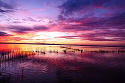 Atardecer en la Albufera, Valencia