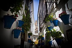 Calleja de las Flores, Córdoba
