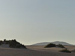 Dunas de Corralejo, Fuerteventura