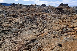 Tours privados en Lanzarote